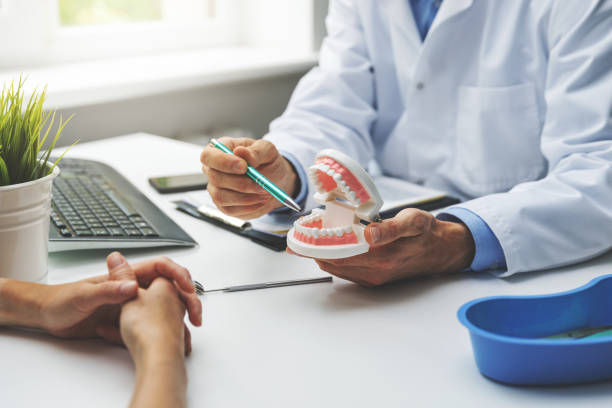  Mendon, IL Holistic Dental Services Pros