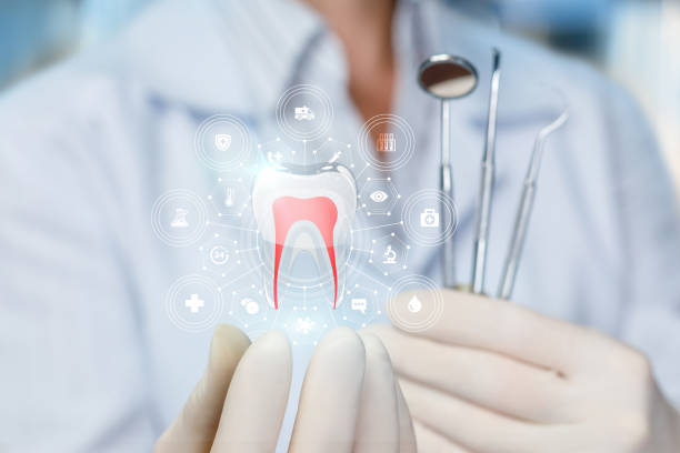 Reliable Mendon, IL  Holistic Dental Services Solutions